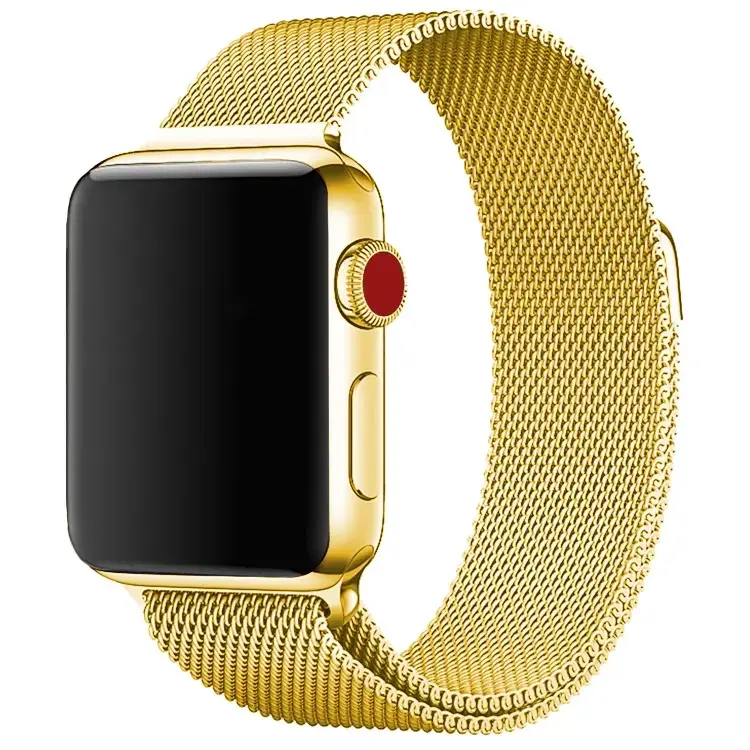 Watch strap Apple Wave WAVE-MB-AW-4244-GD Photo 3