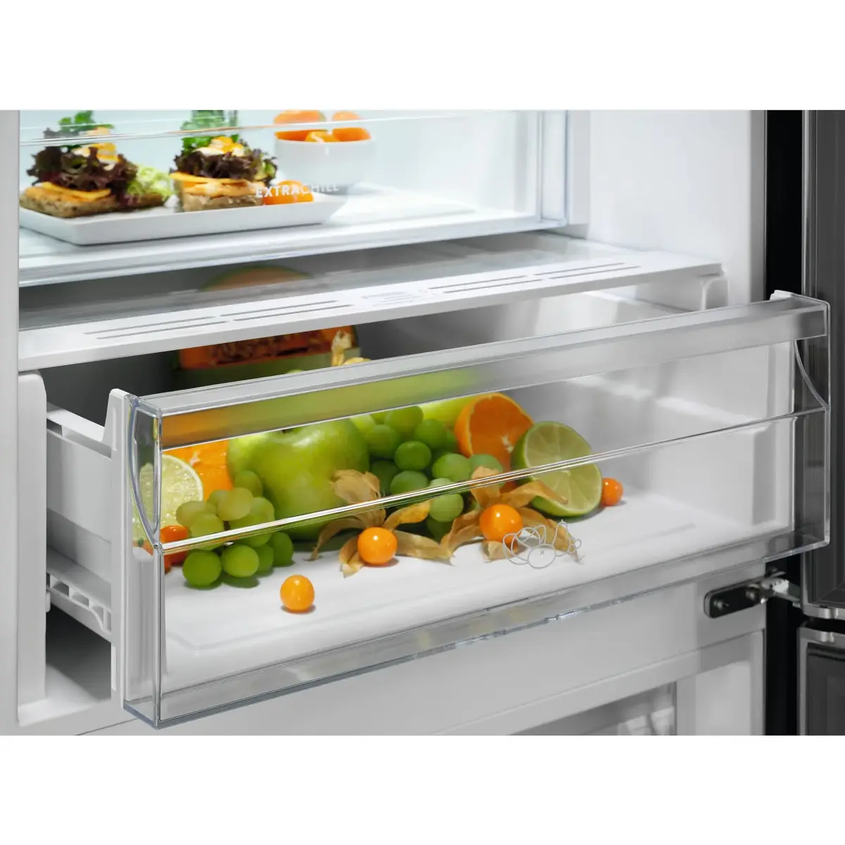 Холодильник Electrolux LNT6ME32U2 Photo 4