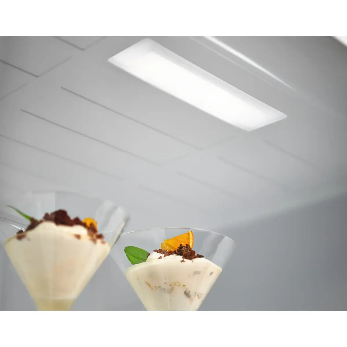 Холодильник Electrolux LNT6ME32U2 Photo 7