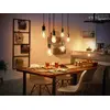 Viedā spuldze Philips ST64 Edison Photo 4