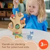 Деревянная игрушка балансирующее дерево Fisher-Price Photo 8