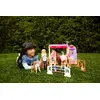 Игровой набор Barbie Mysteries Великая погоня за лошадью Photo 2