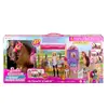 Игровой набор Barbie Mysteries Великая погоня за лошадью Photo 6