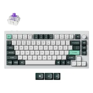 Keychron Q1 HE Keyboard Universal USB RF Wireless Bluetooth QWERTY Nordic White