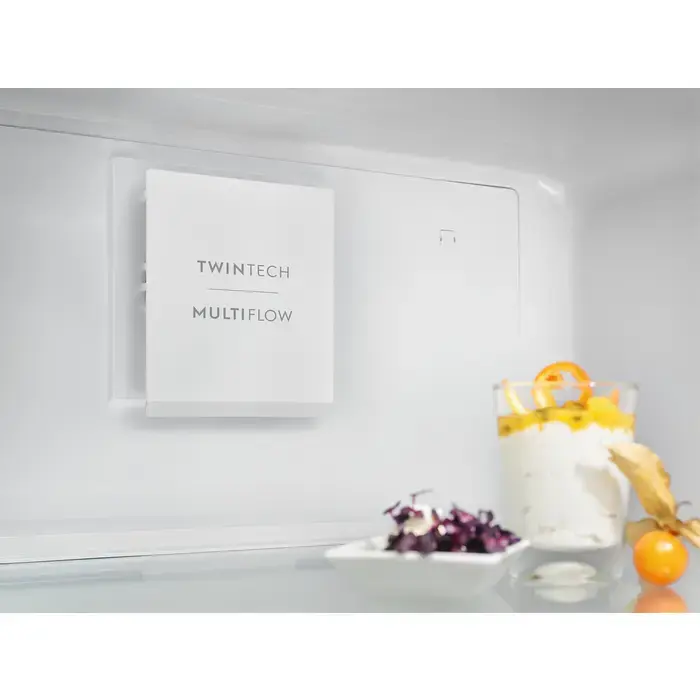 Refrigerator Electrolux LNT6ME36W2 Photo 4