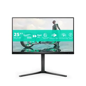 Монитор Philips Evnia 3000 24.5" Full HD 1920x1080 1ms Серый