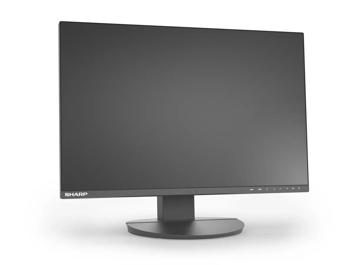 Computer Monitor Sharp MultiSync EA241W Photo 3