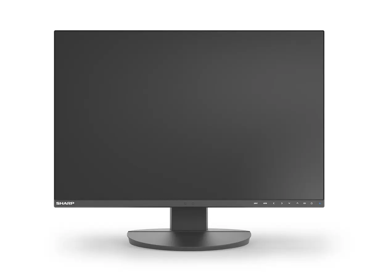 Computer Monitor Sharp MultiSync EA241W Photo 5