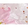 Скраб для тела Rituals The Ritual of Sakura Sugar Body Polish Photo 2