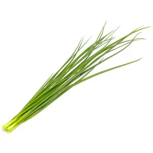 Smart Garden refill pods Click & Grow SGR105X3 — Green onion, 3 pcs