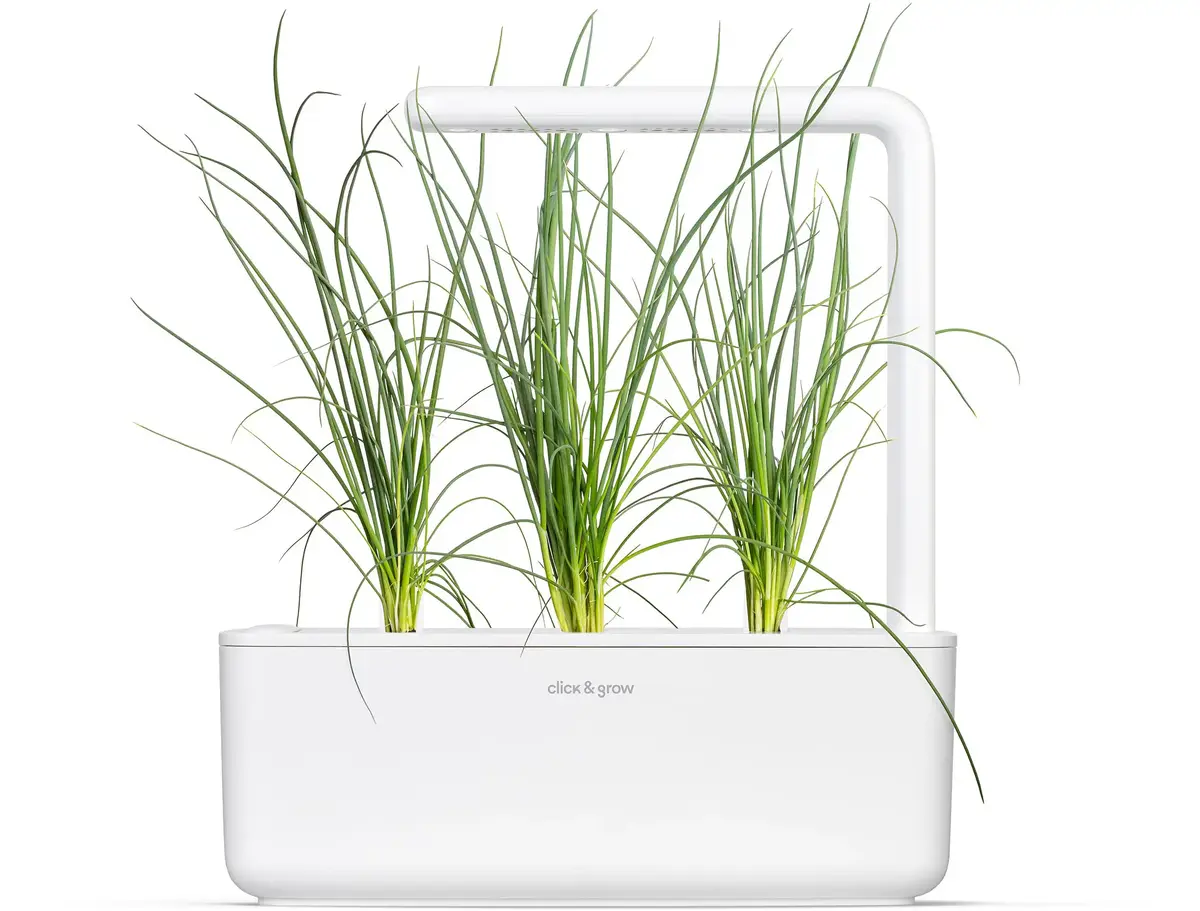 Click & Grow Smart Garden заправка SGR105X3 — Зелёный лук Photo 4