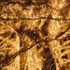 String lights Springos CL0546 — 750 LED Photo 7