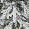 Искусственная ель Springos CT0226 Snowy Spruce Lux 250 см Photo 6