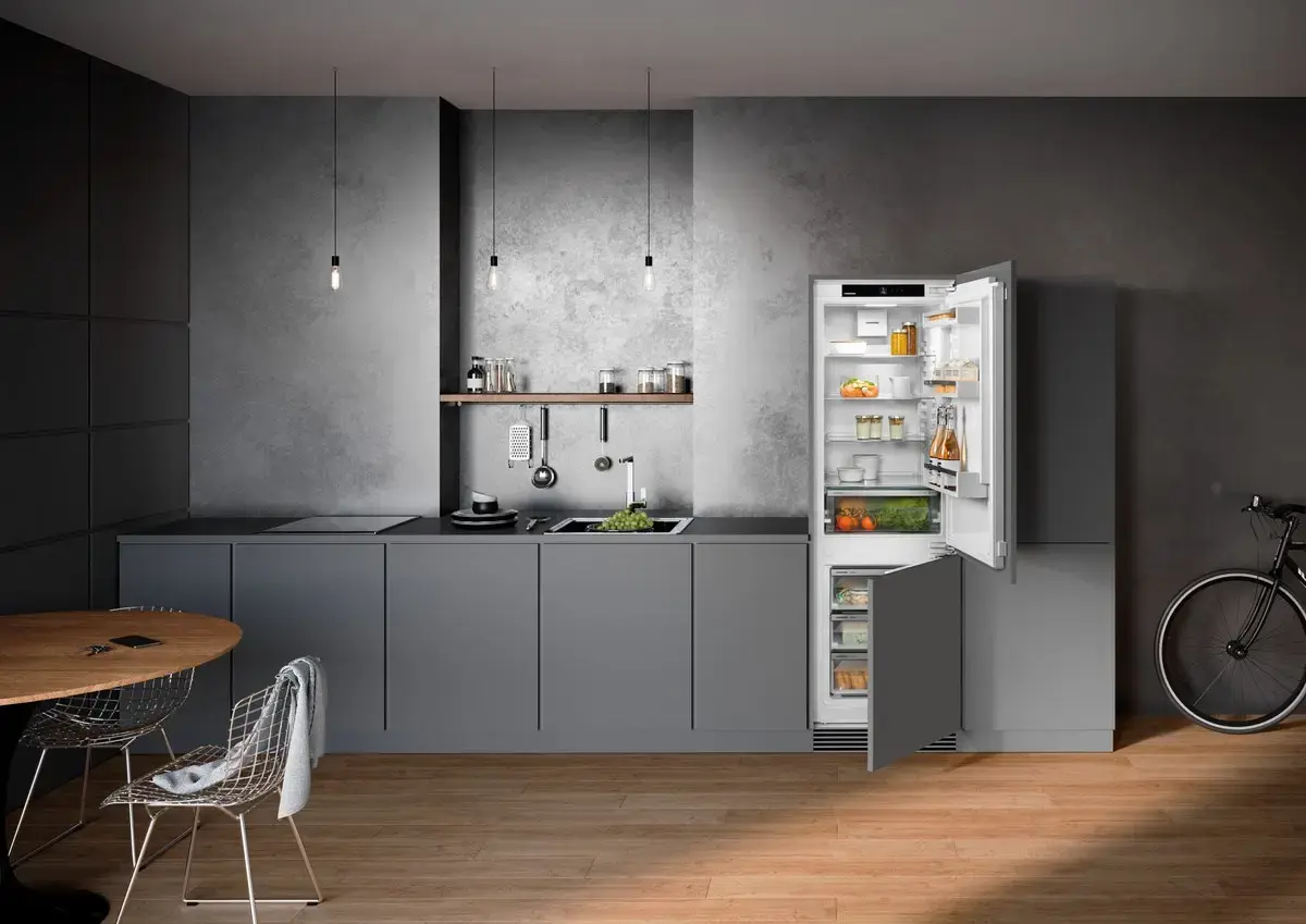 Built-in Refrigerator Liebherr ICNe 5103 Pure Photo 4