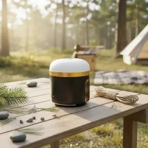 Портативный кемпинговый фонарь на батарее EcoFlow SCLI-B — 400 лм, 3600 мА·ч, USB‑C, корпус ABS+TPR