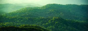 Designed with sustainability in mind
