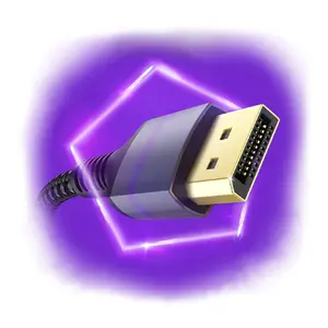 DP2.1