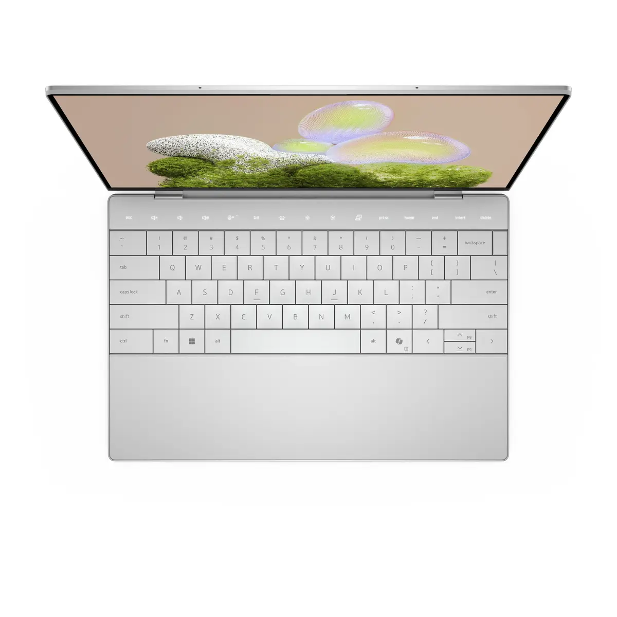 Laptop DELL XPS 13 9350 Photo 12