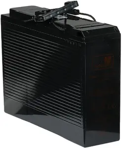 Sealed Lead-Acid Battery mw power 12V 100Ah Front Terminal for UPS and backup power