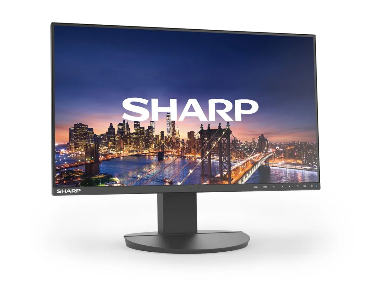 Sharp MultiSync EA242F dators monitors 24