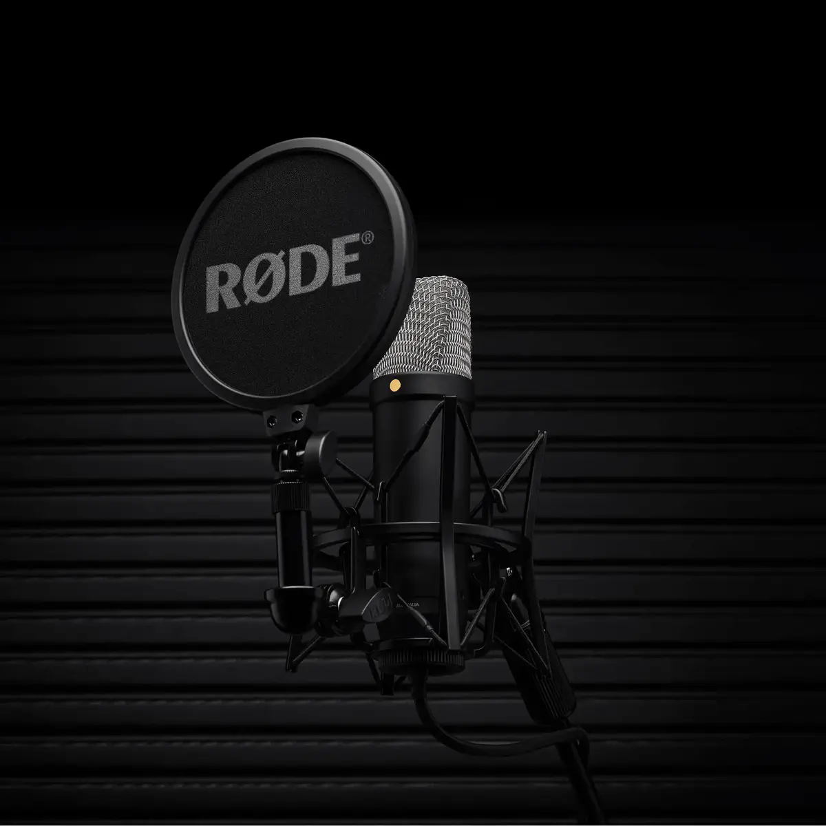 RØDE NT1-A 5th Gen NT1GEN5B Photo 4