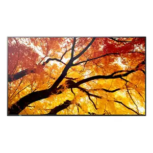 Дисплей для цифровой вывески Sharp MultiSync M862, 86" (2,18 м) LCD, 4K UHD 3840×2160, 550 кд/м², 24/7, чёрный