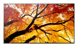 Sharp MultiSync PN-M752 74.5 collu 4K Ultra HD LED Displejs ar 550 cd/m² Spilgtumu un 24/7 Darbības Laiku
