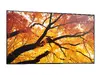 Sharp MultiSync M752 интерактивная панель 74,5" Photo 11