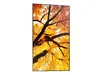 Sharp MultiSync M752 интерактивная панель 74,5" Photo 12
