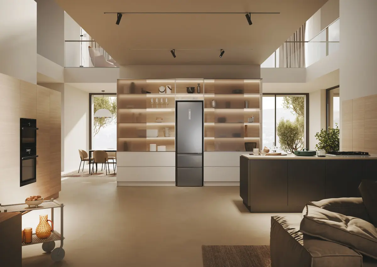 Haier 3D 60 Serie 5 HTW5620DNMG Freestanding Refrigerator Photo 13