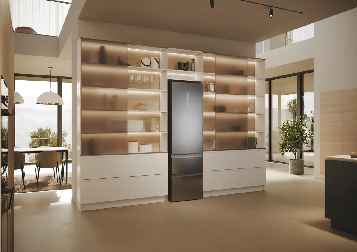 Haier 3D 60 Serie 5 HTW5620DNMG Freestanding Refrigerator Photo 14