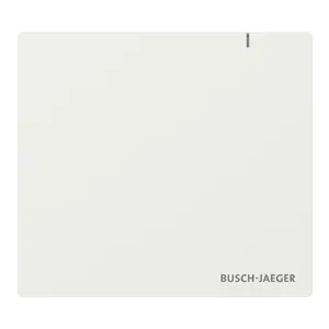 Wall plate / switch cover Busch-Jaeger 2CKA006200A0868 White, thermoplastic, 107.2×30.7 mm
