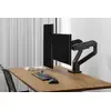 DIGITUS Dual Monitor Mount DA-90474 — 2×45", 2×20 kg Photo 2