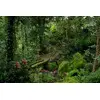 Tamron 25-200mm f/2.8-5.6 Di III VXD G2 объектив Photo 15
