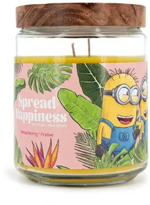 Ароматическая свеча Minions Spread Happiness 510 г – брендированная декоративная свеча