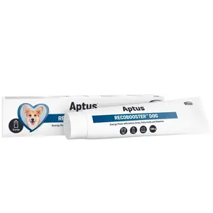Dietary supplement paste for dogs Aptus RecoBooster 100 g — appetite stimulation, convalescence support, sugar-free, preservative-free