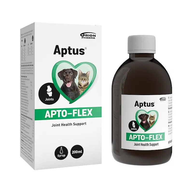 Pet Accessories