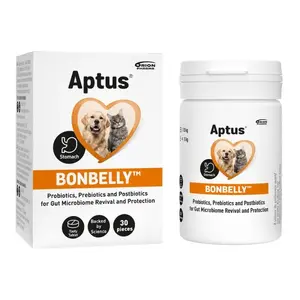 Oral supplement Aptus Bonbelly for chronic diarrhea and indigestion for dogs and cats, 30 capsules, 200 g jar