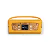 Roberts Radio Revival iStream 3L портативное радио Photo 4