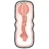 Masturbators Stroker 50062440000 (Vagina Style) Photo 10
