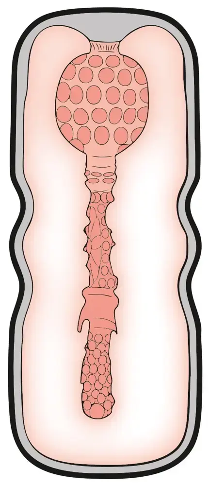 Мастурбатор Stroker Anal Style модель 50062600000 Photo 10