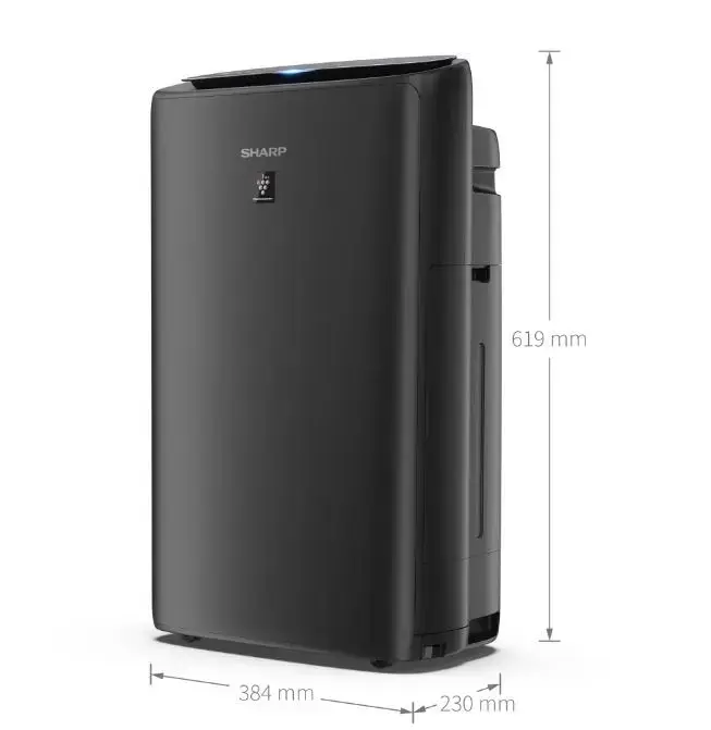 Очиститель воздуха Sharp UA-KIN42E-H Photo 2