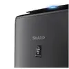 Очиститель воздуха Sharp UA-KIN42E-H Photo 5