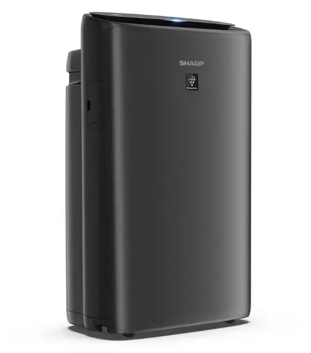 Очиститель воздуха Sharp UA-KIN42E-H Photo 10