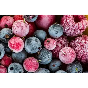 FastFreeze