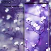 Kapsolo tempered glass for iPhone 13 / iPhone 14 Max Photo 3