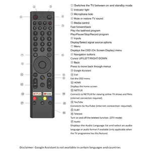 Пульт дистанционного управления ESTAR RCU voice для eSTAR Android TV Nr.6 — голосовой ввод, инфракрасный
