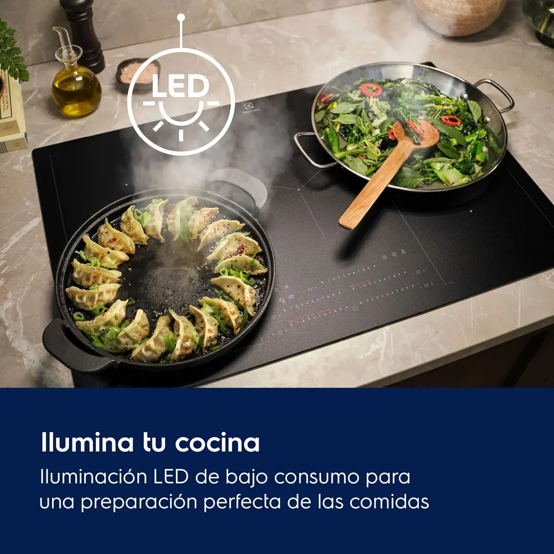 Electrolux LFG815K Wall-mounted Hood Photo 6