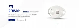 Датчик температуры и влажности с датчиком движения TELTONIKA EYE Sensor BTSMP183CB02