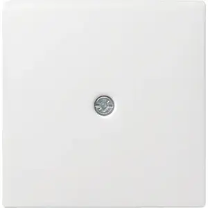 Electrical switch accessory Gira 027403, white